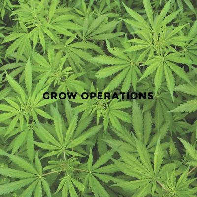 Grow Operations